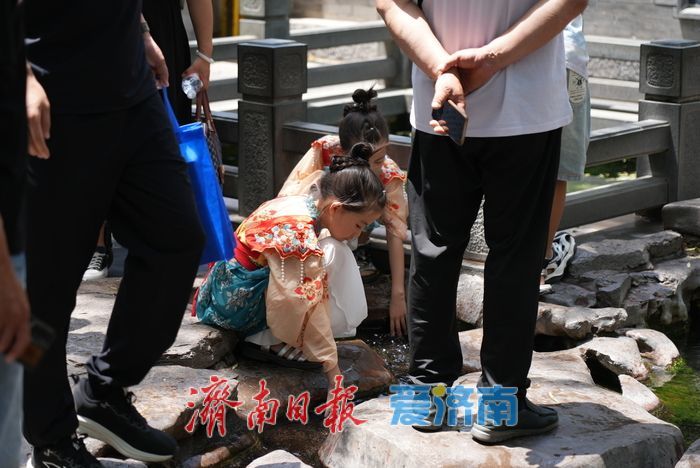 一年四季 泉在济南丨热浪来袭，泉畔尽享“透心凉”！
