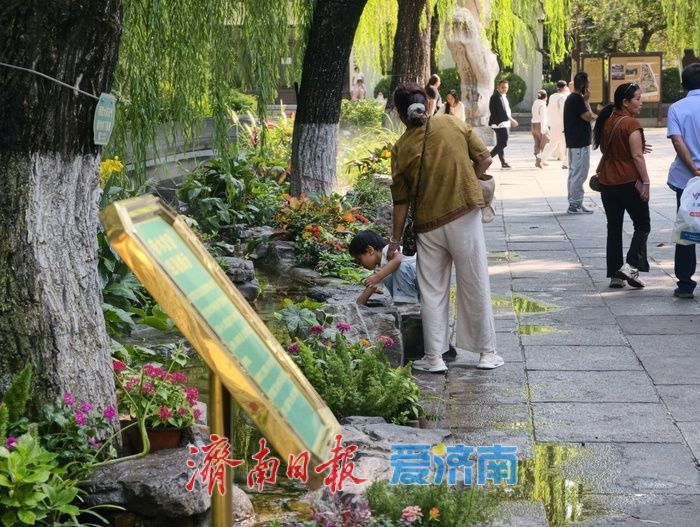 雾起溪畔，在园林间遇见清泉漫石之美