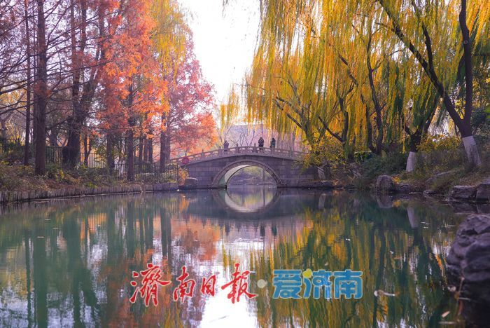 一年四季 泉在济南丨大明湖四象限机位 褚红杉林美到出圈