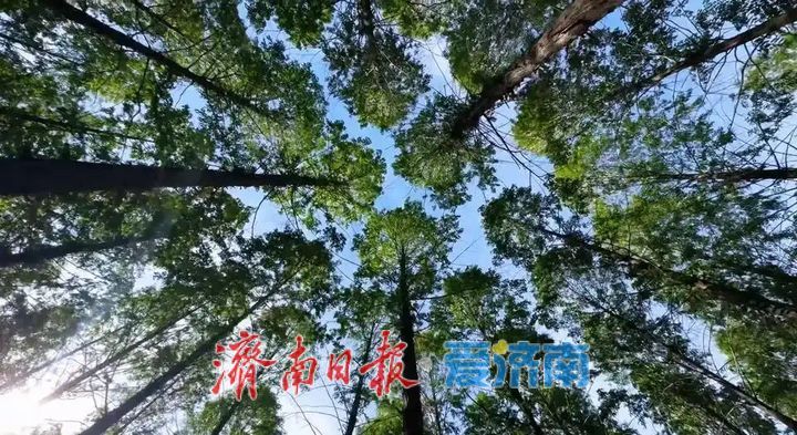 济南十大心动地标，官宣了
