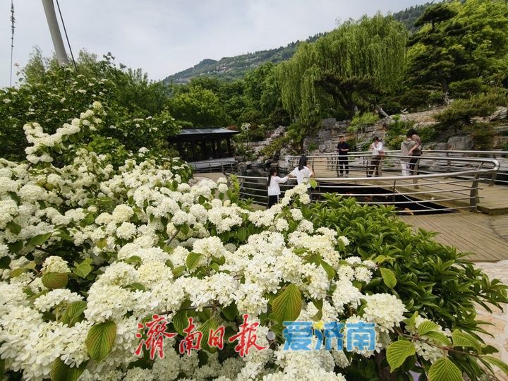 “空壳村”变身空谷花园 乡村文旅铺就振兴路