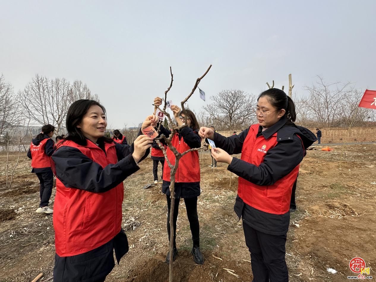 济南能源青年：播种生态幼苗 扛起能源“植”责