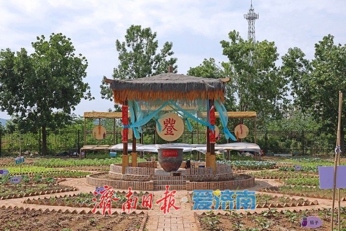 热度拉满！齐鲁童乡成济南亲子出游新晋热门打卡地