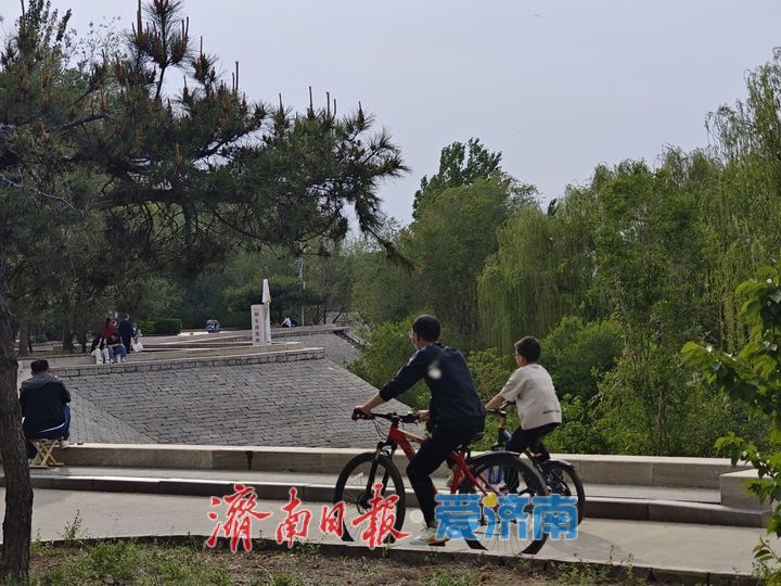 一年四季 泉在济南丨春日黄河岸繁花盛放 百里黄河风景区迎来游玩热潮