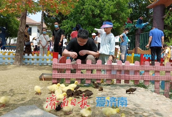 一年四季 泉在济南｜“五一”小长假 近郊游火热