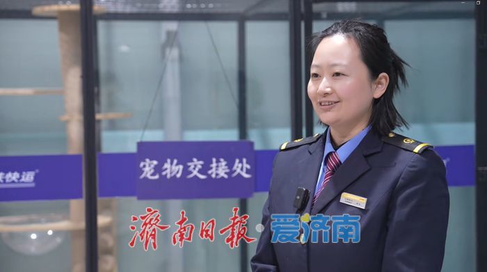 从700余只“毛孩子”看济南西站的另一重身份