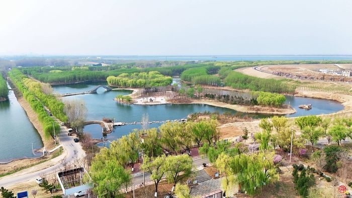 相约田园综合体，邂逅乡野烂漫春光 ｜春满槐荫•黄河长堤画卷②