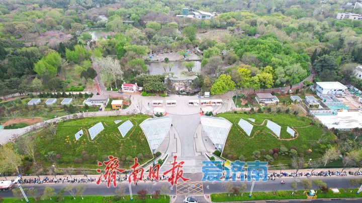出站口披上“绿棉被”！济南“最浅车站”迎来最美春色