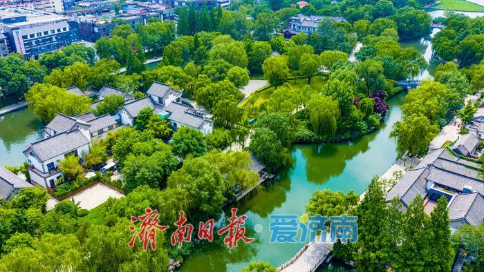 雨霁天晴景致醉人 大明湖解锁泉城初夏绝美风光