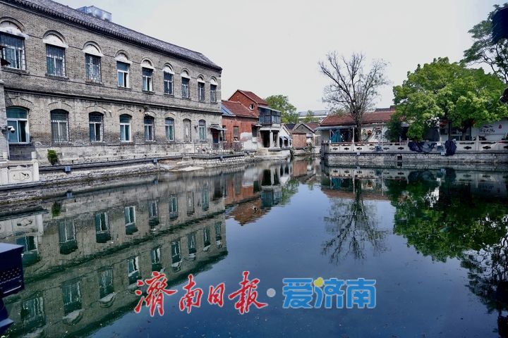 济南王府池子水质清澈见底，春日赏泉正当时