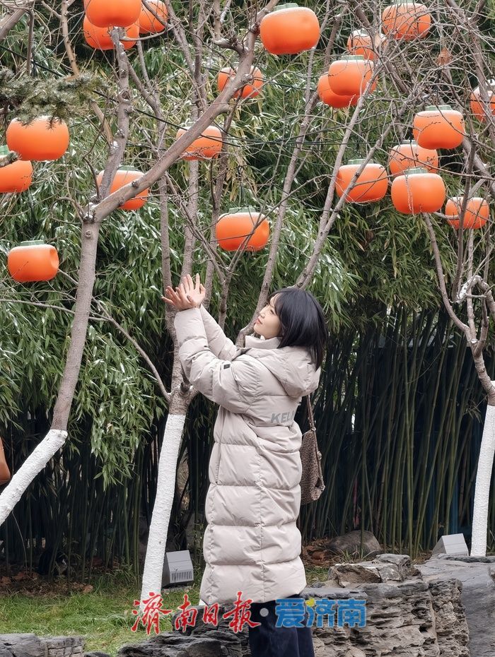 一年四季 泉在济南丨趵突泉畔花灯初绽，泉城年味渐浓