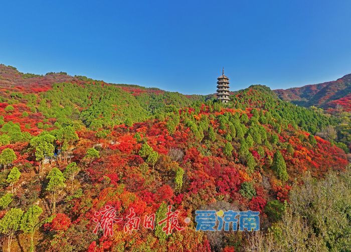 一眼沦陷！错过再等一年，济南红叶谷进入最佳观赏期