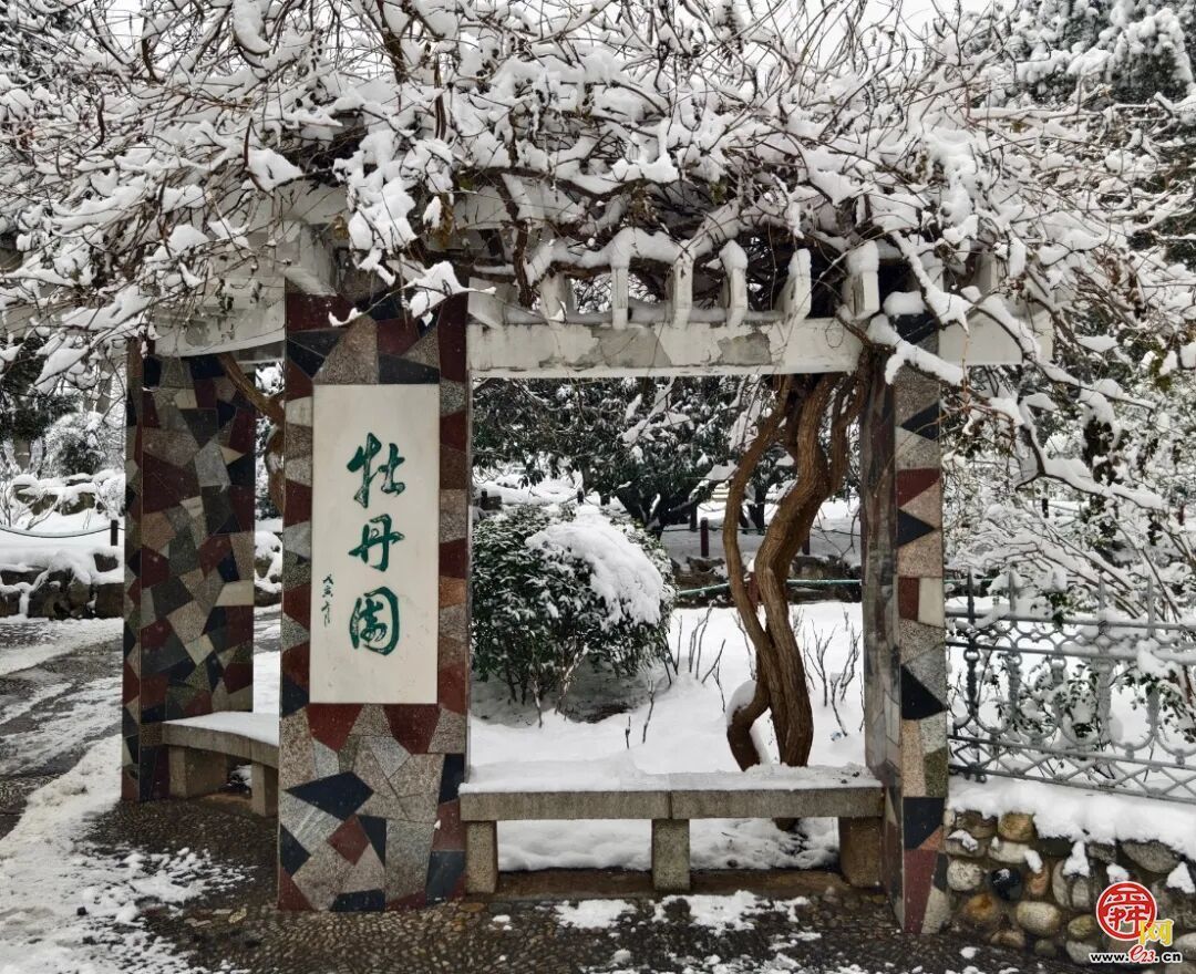 雪漫泉城园 九景入画来