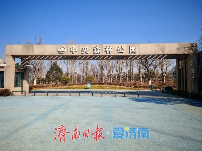 中央森林公园：工业遗址转型中的生态复苏与城市记忆新空间