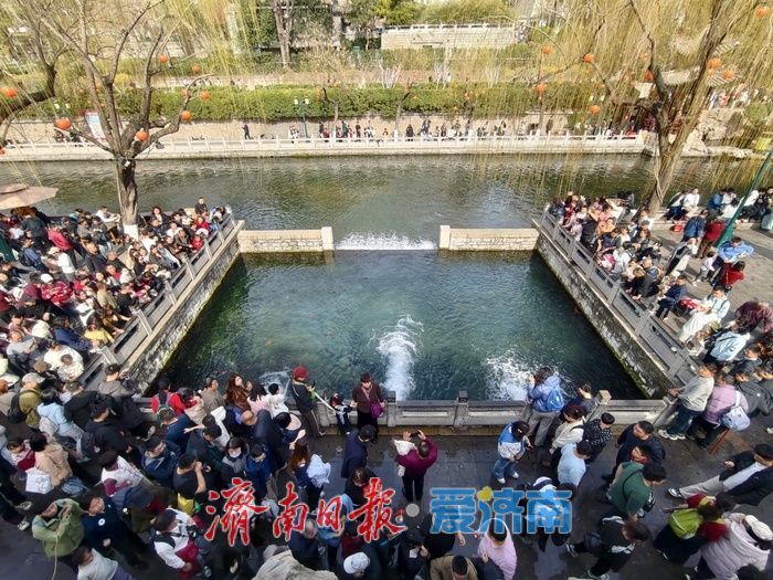 泉在济南过大年丨泉水游持续升温，赏泉品茗乐享新春