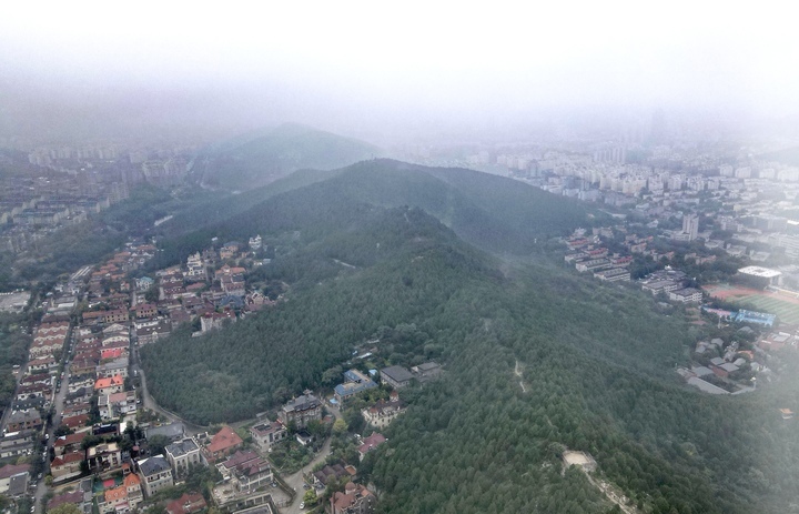 秋雾漫漫似丹青