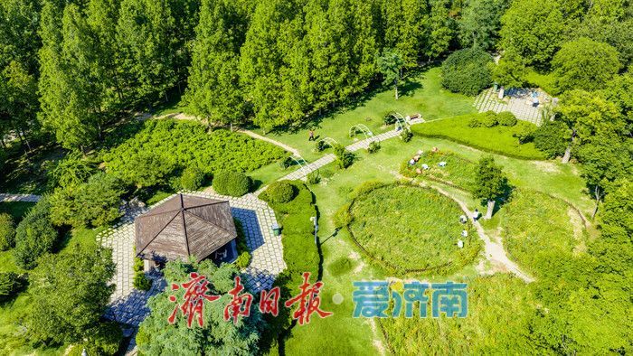 清风伴晴空 绿意满公园 泉城夏日氛围感拉满