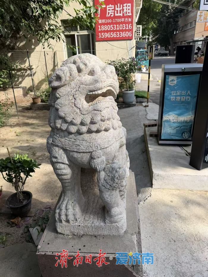 济南经十西路旁，一对清代石狮的百年守望