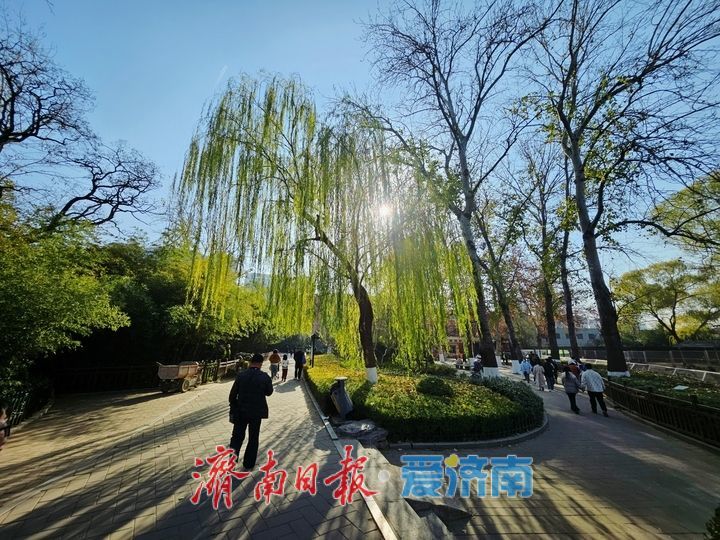 一年四季 泉在济南丨拥抱自然 乐享美好时光