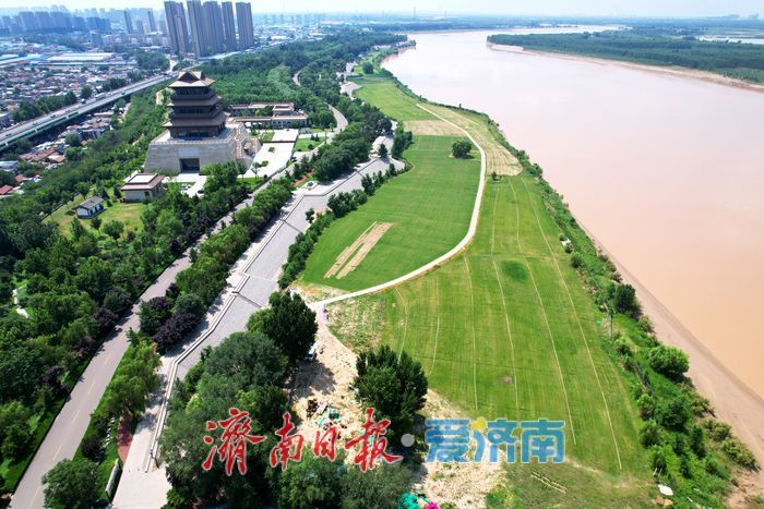 黄河生态廊道铺就生态绿毯 济南岸线景观持续提质