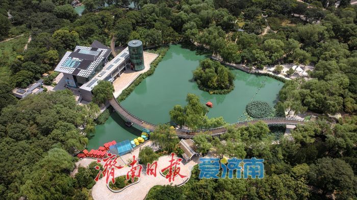 一年四季 泉在济南丨航拍泉城公园，“都市绿肺”沁凉意