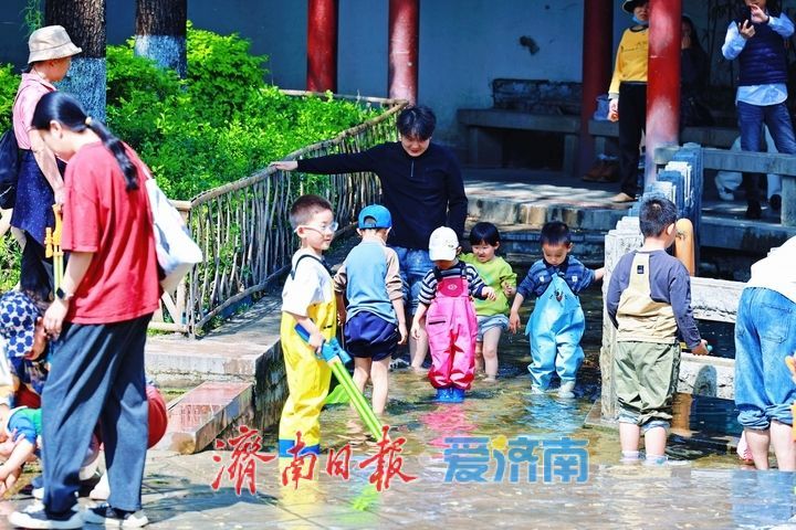 一年四季 泉在济南丨五龙潭戏水享清凉 泉畔欢歌度初夏