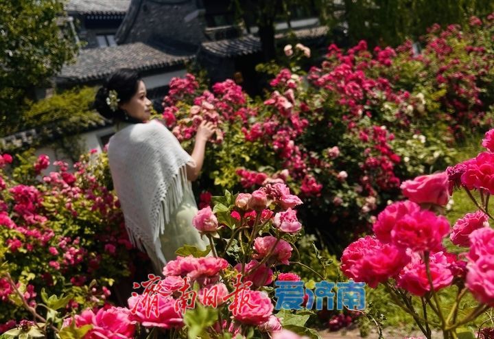 青砖黛瓦觅古韵