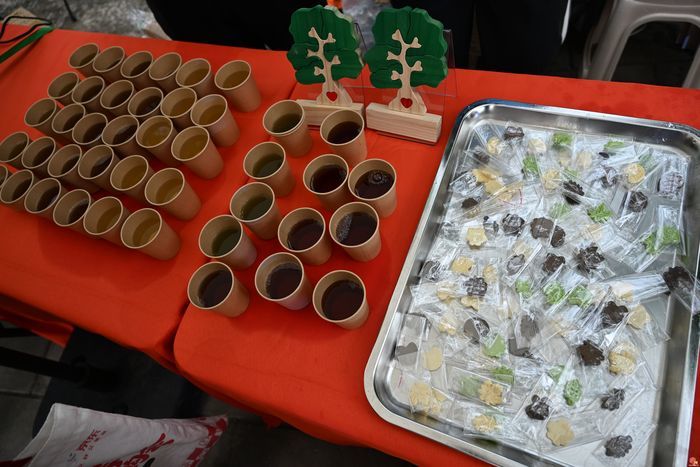创新潮范足！“古树济南·商埠‘Tree-walk’派对”大型文化活动落幕