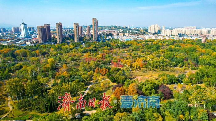 莱芜红石公园秋意浓 红石秋叶绘就多彩画卷