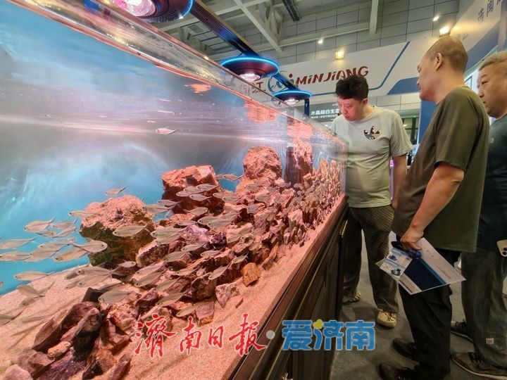 第十三届山东国际水族用品展览会火热启幕