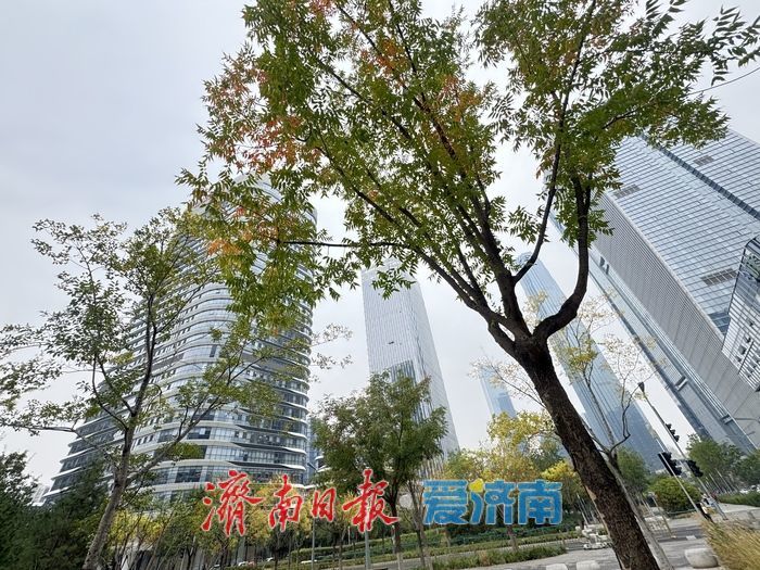 秋染绸带公园 城市绿廊绘就秋日画卷