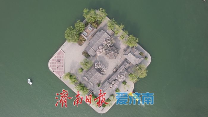 打卡泉城C位春色 历下亭海棠花迎来最佳观赏期