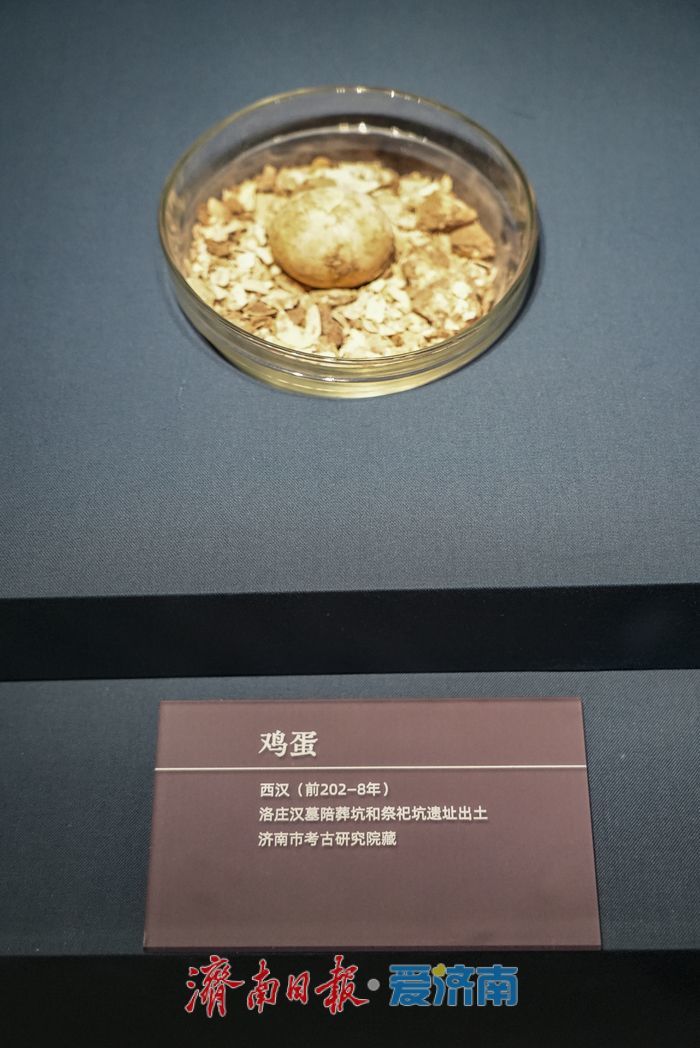 2000多年前的鸡蛋 洛庄汉墓出土的“千年一蛋”亮相山东博物馆