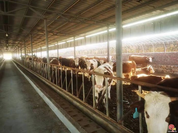 官庄街道：挥产业“妙笔” 擘共富“画卷”，激活高质量发展“一池春水”