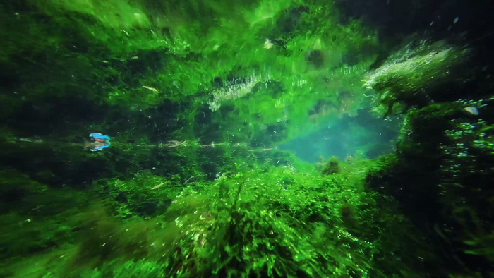 “泉”在济南过五一｜一镜入水，别有洞天 带你探访趵突泉水下世界