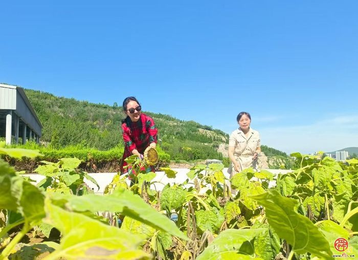 济南市第二殡仪馆举办“生命·重生·收获”生命教育主题活动