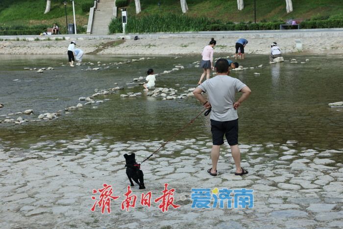 一年四季 泉在济南丨高温来袭，济南龙鼎滨水公园成市民避暑热门地