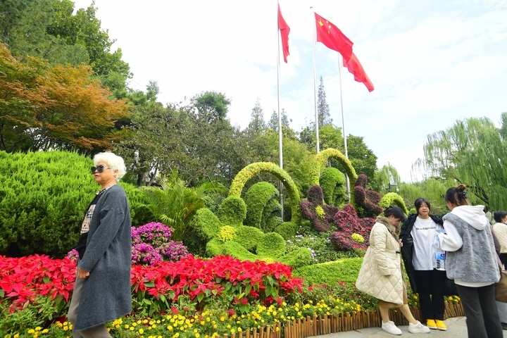 叶落秋意浓 泉畔菊飘香