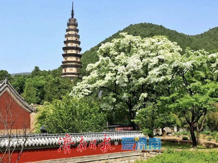 双向免票！临夏、济南文旅福利拉满，两地市民免费逛遍山水胜景