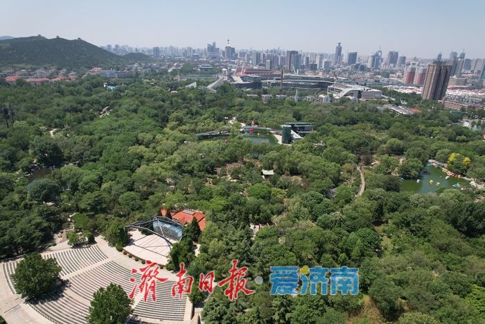 一年四季 泉在济南丨泉城公园绿意盎然，初夏时节展现生态之美