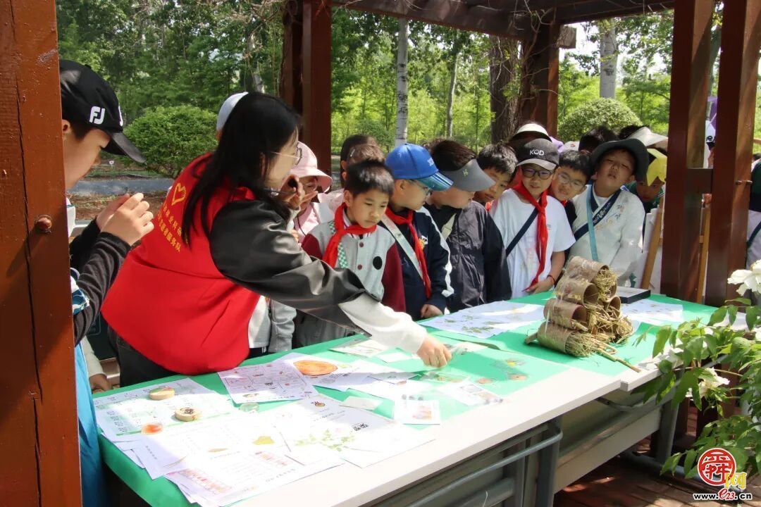 “绿满齐鲁 ——‘森’临其境·守护地球”