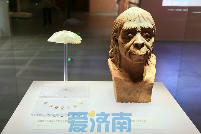 揭开考古的神秘面纱！山东博物馆“走近考古”展览启幕