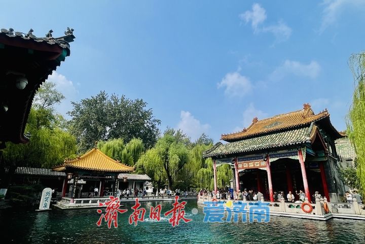 秋雨初歇，来趵突泉邂逅一城秋韵