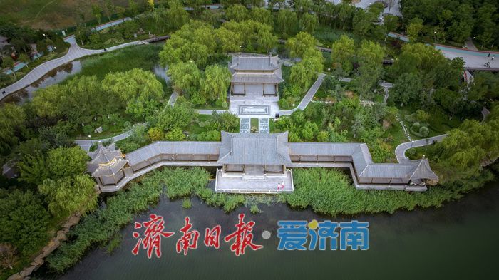 市民乐享“水岸清凉” 云锦湖公园绘就夏日生态画卷