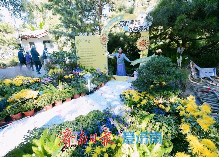 趵突流芳·菊绘华章，济南市第47届趵突泉金秋菊展加载进度90%！