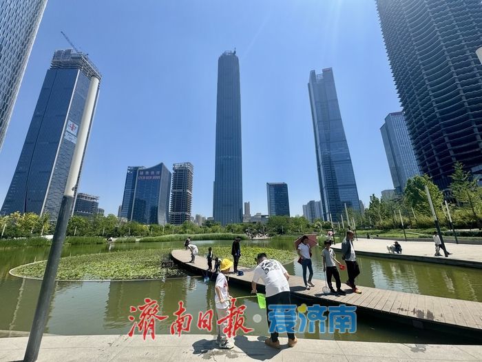 一年四季 泉在济南丨新荷为笔，蓝天为幕，济南绘就初夏画卷