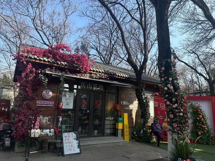 赏花购年货一站式解锁，济南公园里的新春盛典来啦