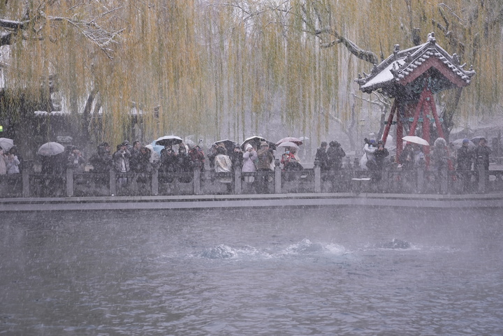 一年四季 泉在济南丨趵突泉“云雾润蒸”引客来