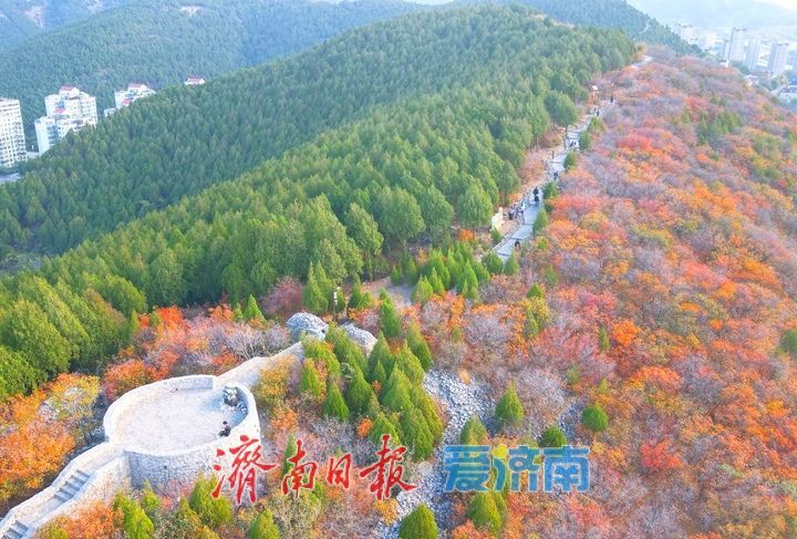 济南“鸳鸯锅”渐入佳境，蝎子山将迎赏红叶最佳时节
