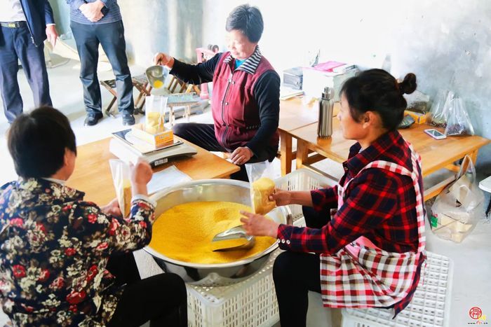 丰收的章丘，醉美！